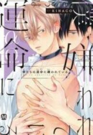 manga-wj999492-4352
